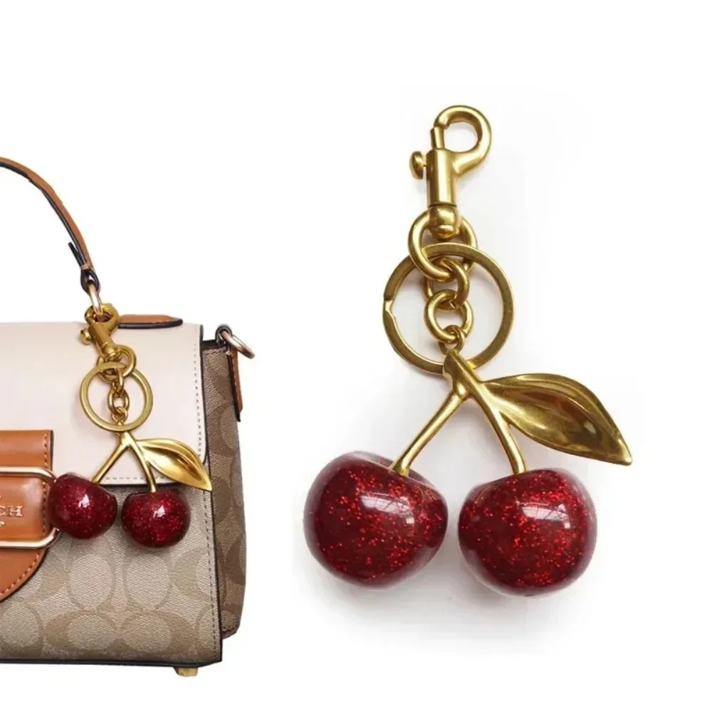 قطعة واحدة من تعليقات الحقائب  - مراجعة Women'S Accessories Coach وسعره
